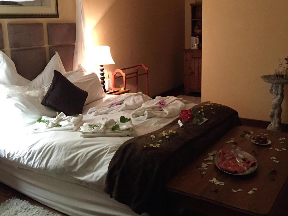 Harfield Guest Villa Kapsztad Zewnętrze zdjęcie