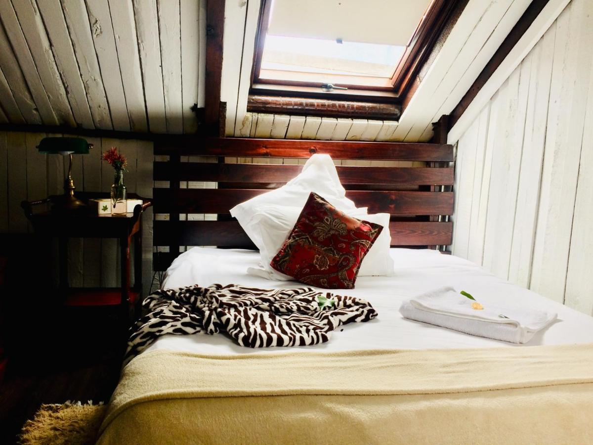 Harfield Guest Villa Kapsztad Zewnętrze zdjęcie