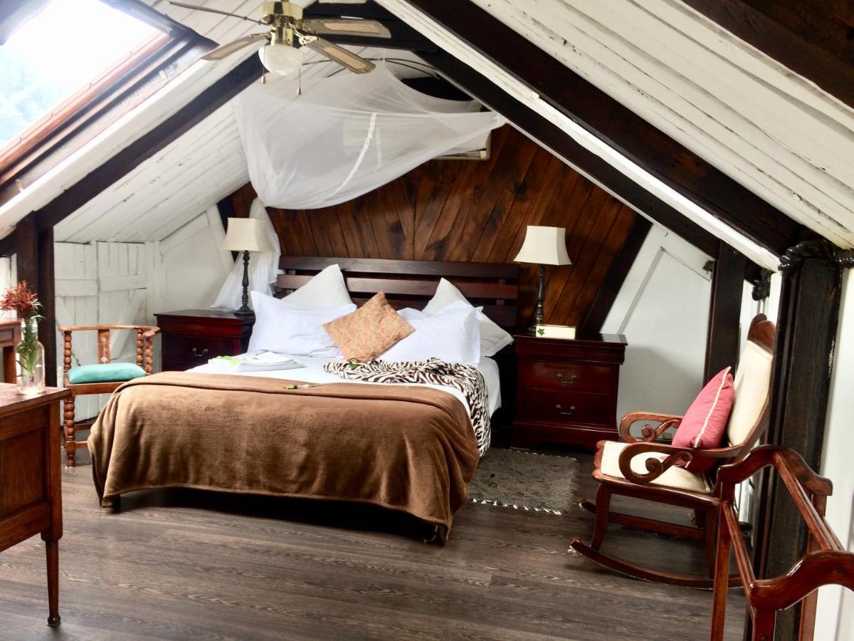 Harfield Guest Villa Kapsztad Zewnętrze zdjęcie